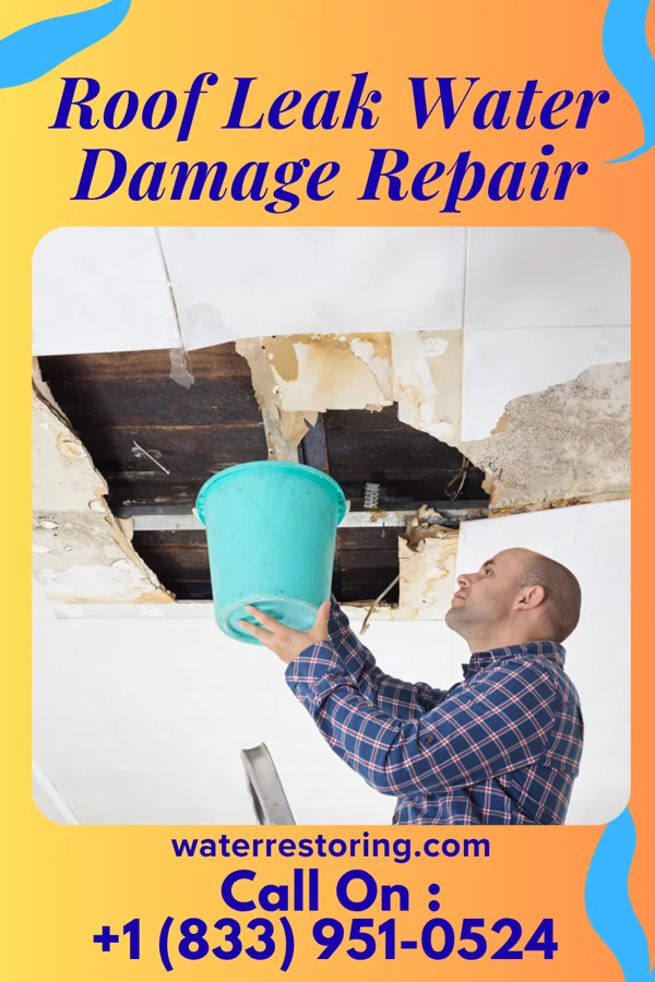 Roof Leak Water Damage Repair in River Heights, UT