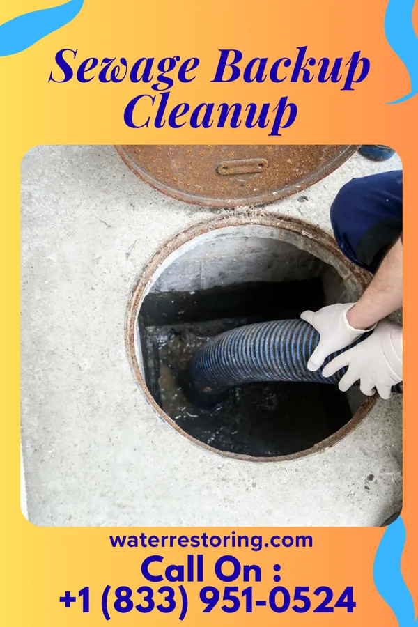 Sewage Backup Cleanup in River Heights, UT